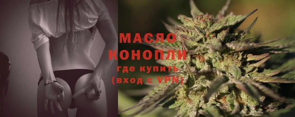 мет Елабуга